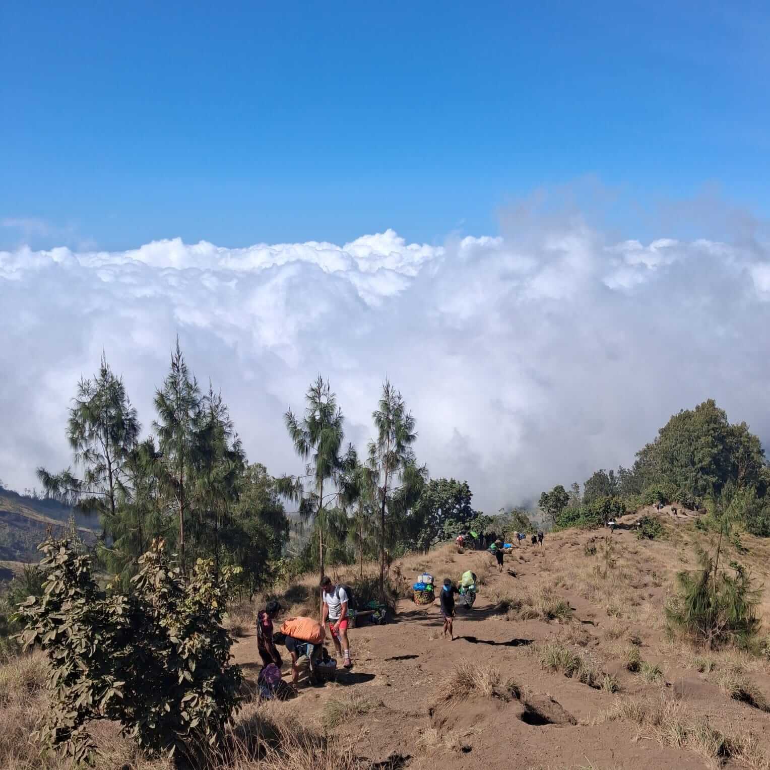 View of Mount Rinjani's summit from the Sembalun to Senaru trail